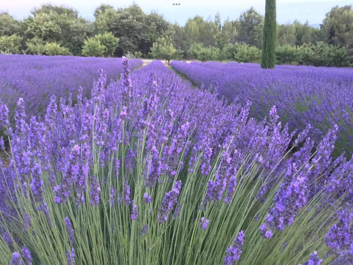 Lovely Views In Secret Provence Joucas