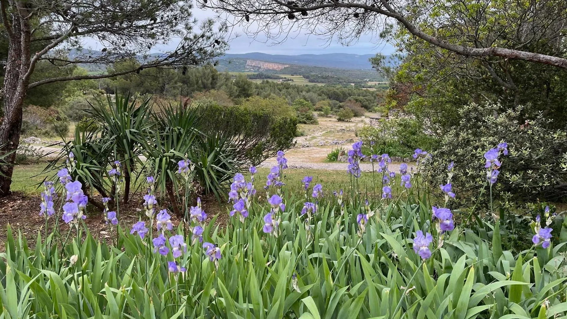 Apartment Lovely Views In Secret Provence Joucas France